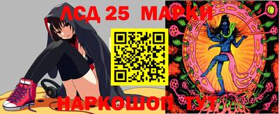 ешки Кингисепп