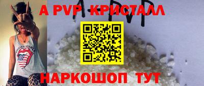 ешки Кингисепп