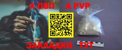 ешки Кингисепп