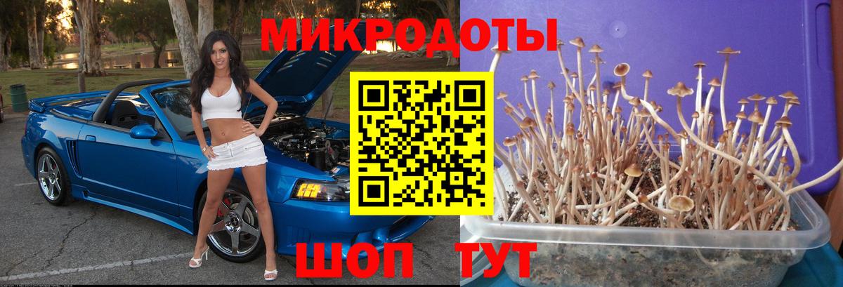 Галлюциногенные грибы мицелий Наро-Фоминск