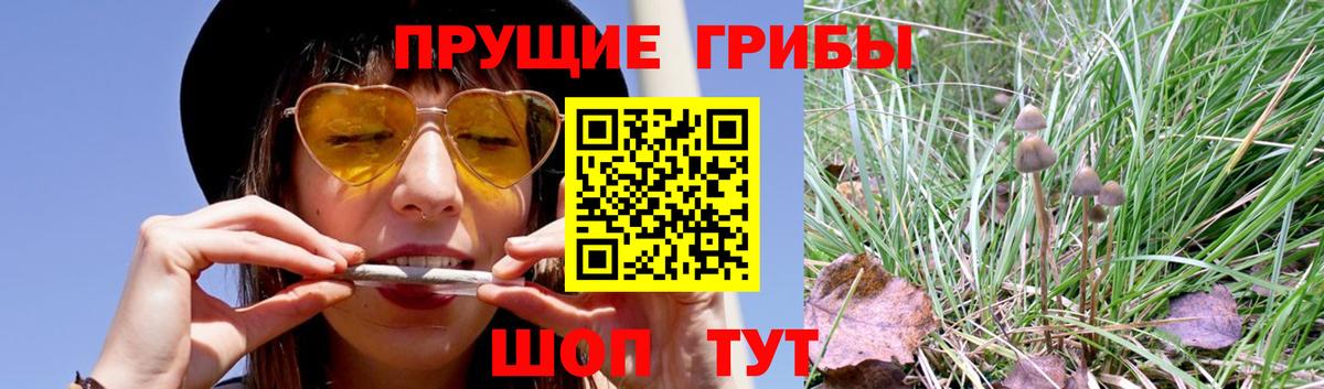 закладка  Наро-Фоминск  Галлюциногенные грибы Magic Shrooms 